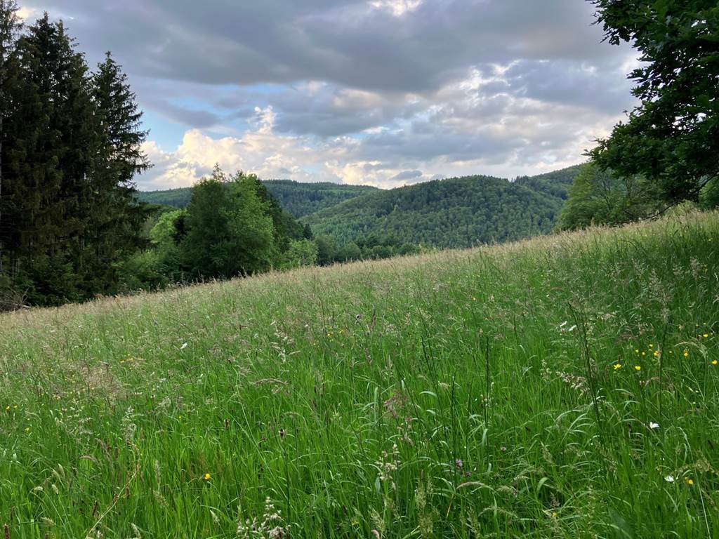 Gite-de-groupe-alsace-vosges-chalet-prairie