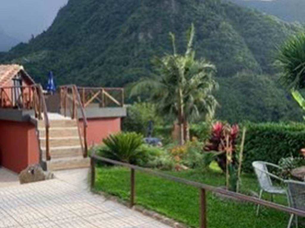 Vue de la maison depuis l'espace cuisine ouverte - View of the house from the open kitchen area