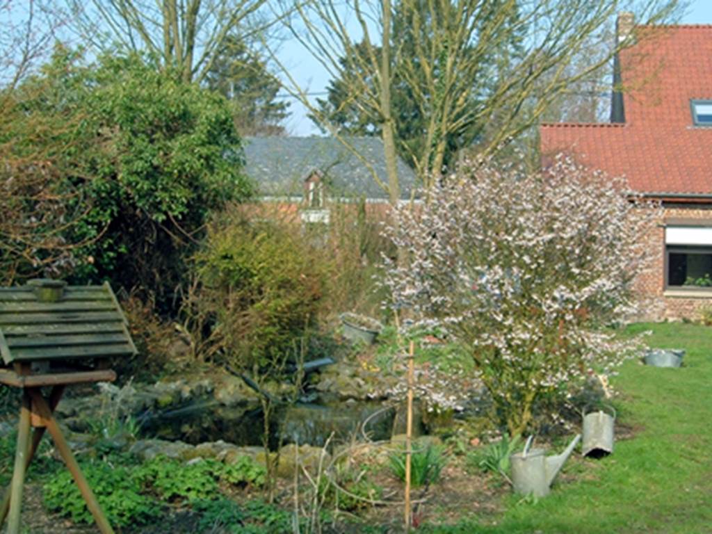le jardin en fin d'hiver
