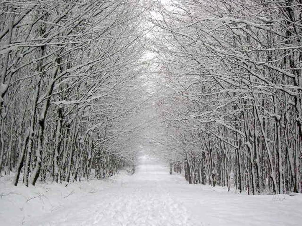 Les superbes promenades d'hiver. Un vrai bonheur.