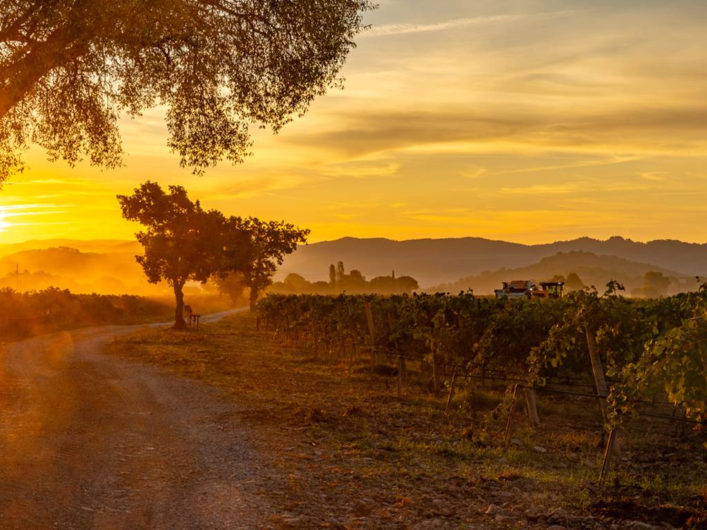 Domaine des Perirecedes BD-0041