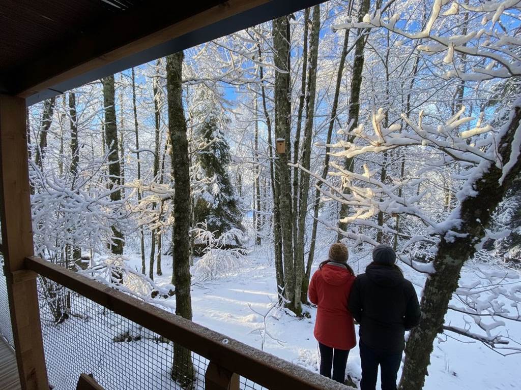 HY•Lødge Spa 6 personnes avec spa privatif