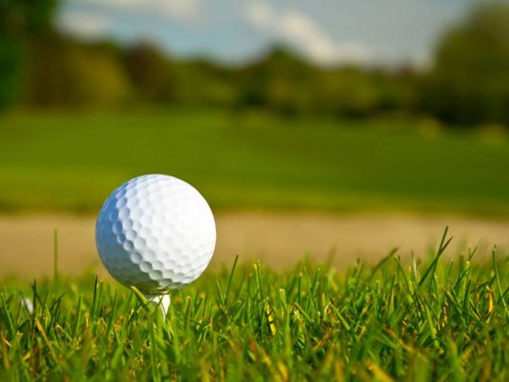 A 15 mn du Domaine de Louveraude: le beau parcours de golf 18 trous du Golf de la Jonchère