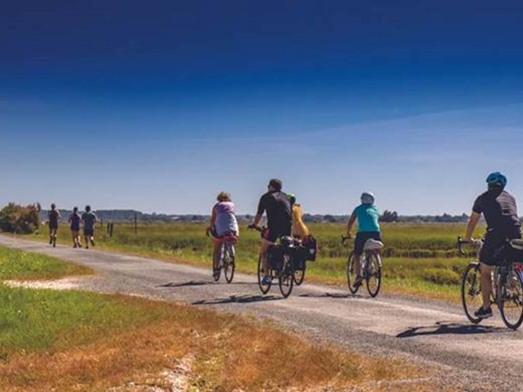 balade-vélo-marais-de-la-seudre