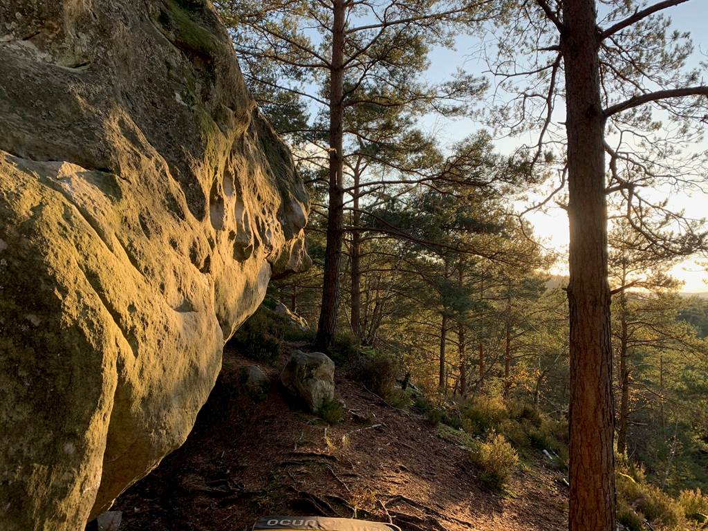 Fontainebleau boulder forest Gorge aux chats