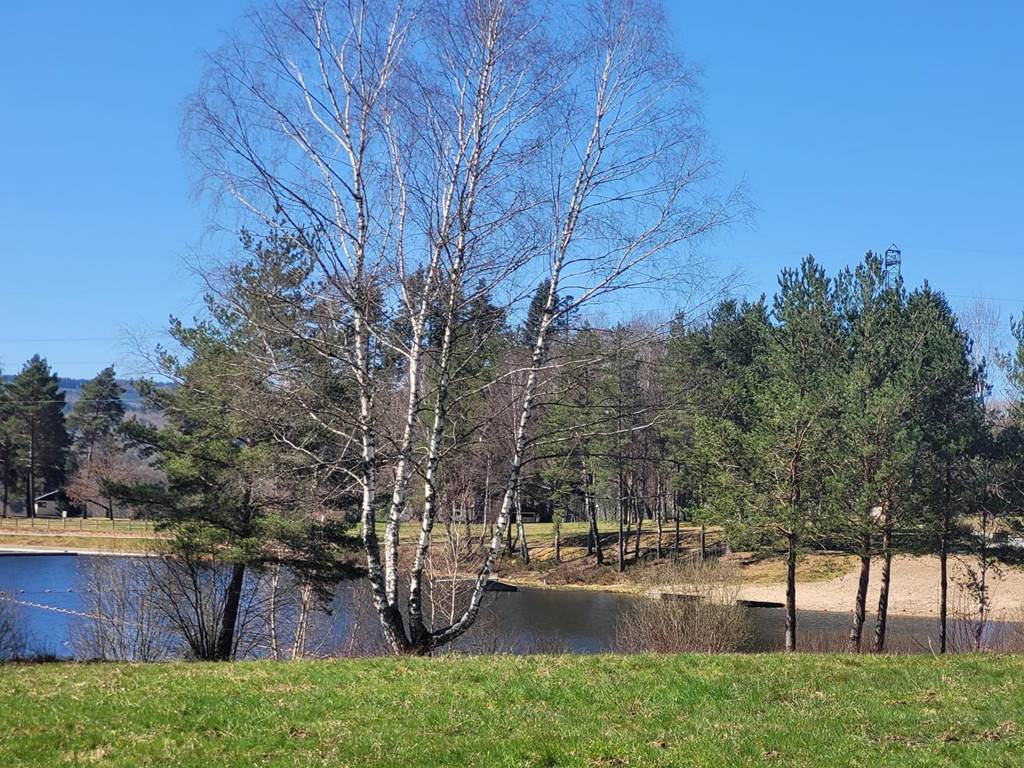 Gîte n°19G4263 "Les Myrtilles" – SORNAC