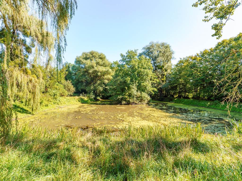 La Martinerie - Mangiennes