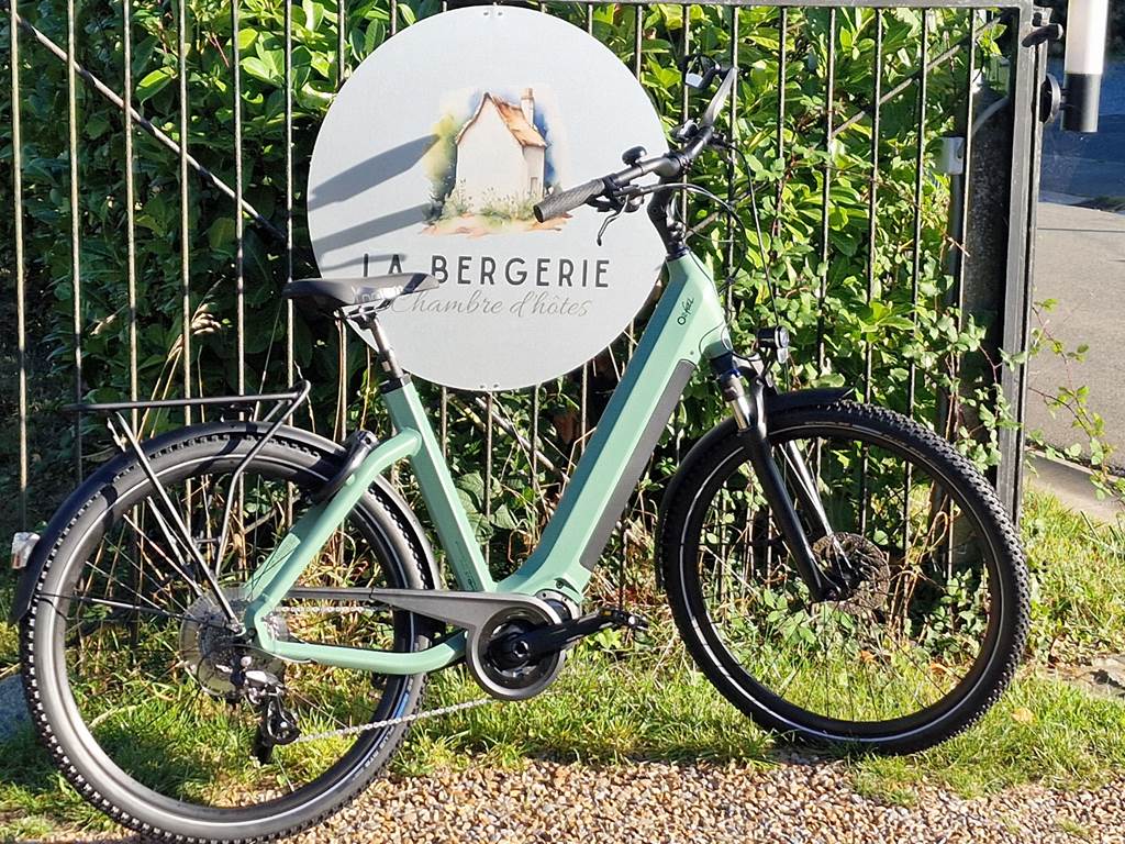 Location vélo à la journée