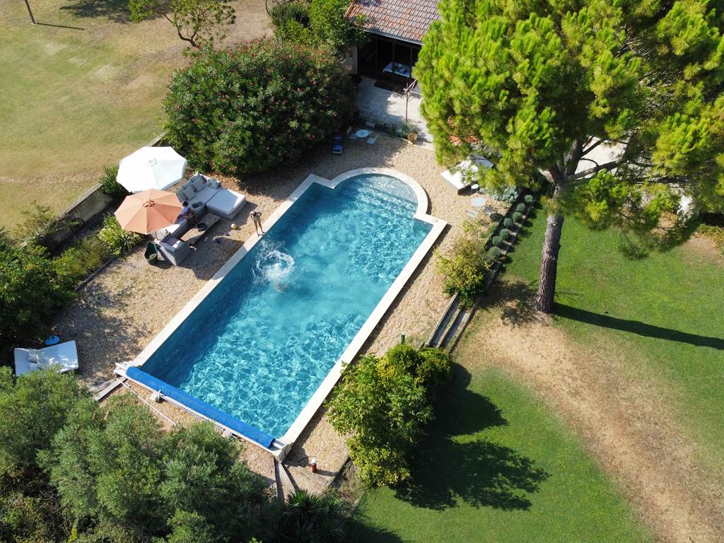 La piscine au mileu de la végétation