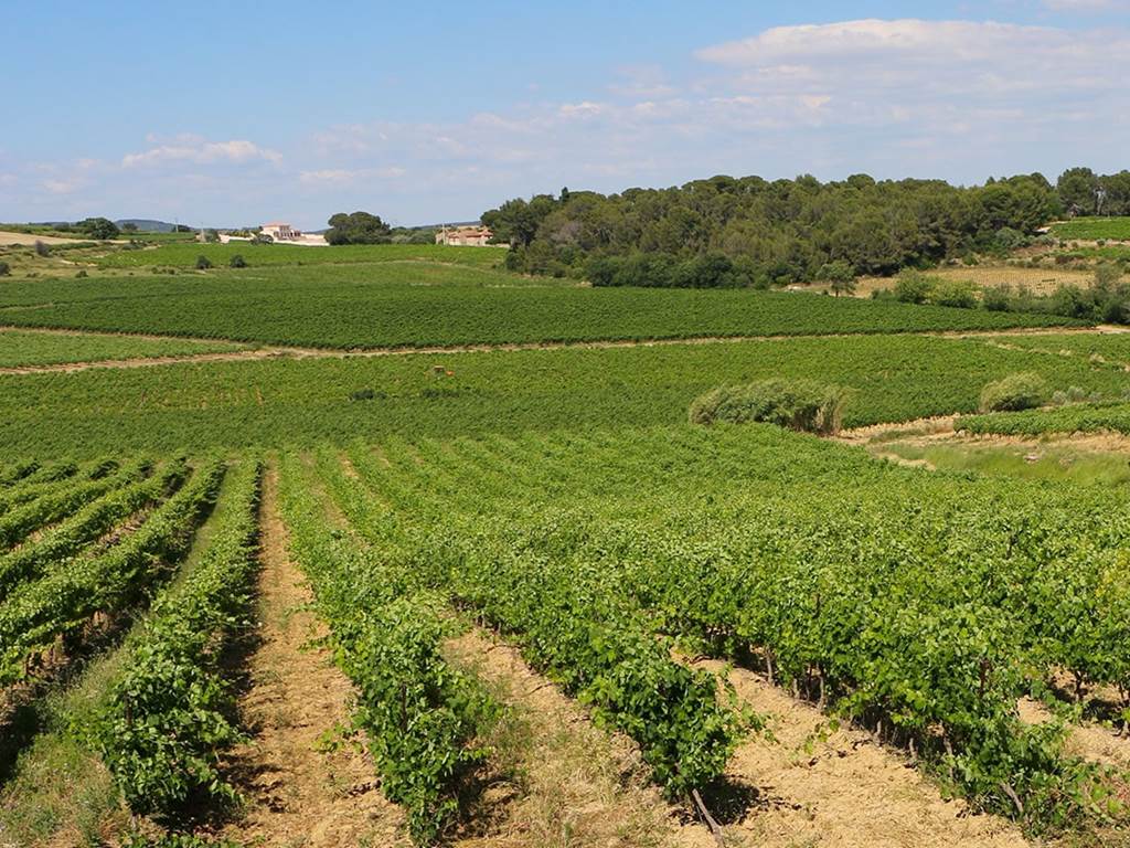 portfolio-paysage-02