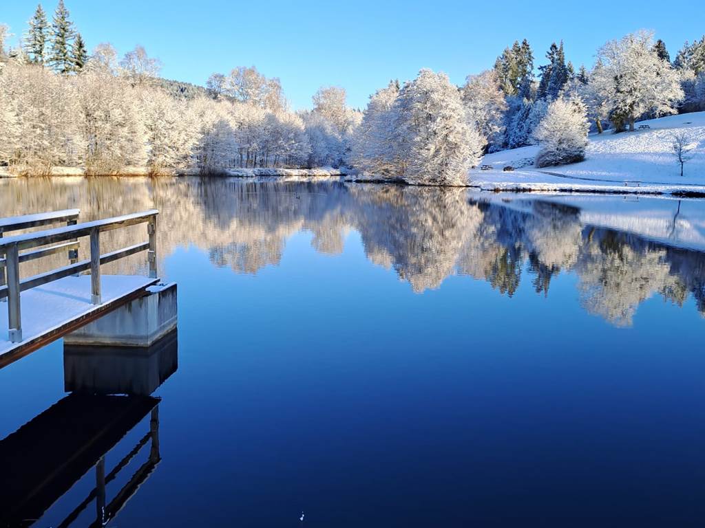 Hiver sur l'étang de la Garenne