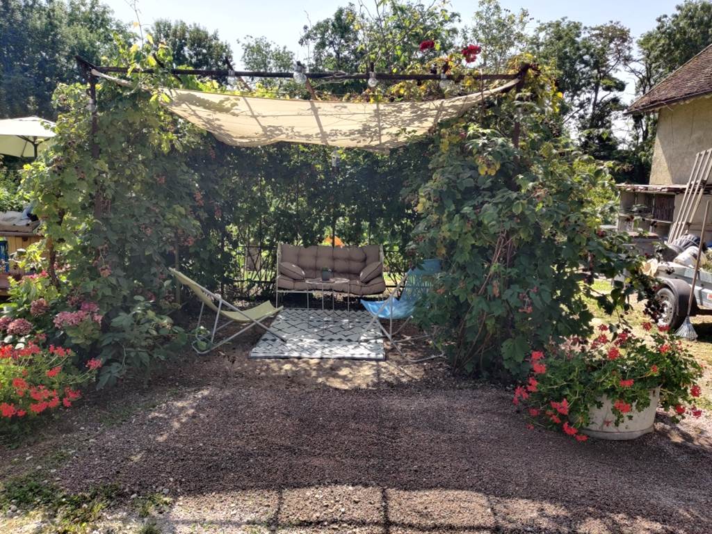 espace COSY à l'ombre du mûrier