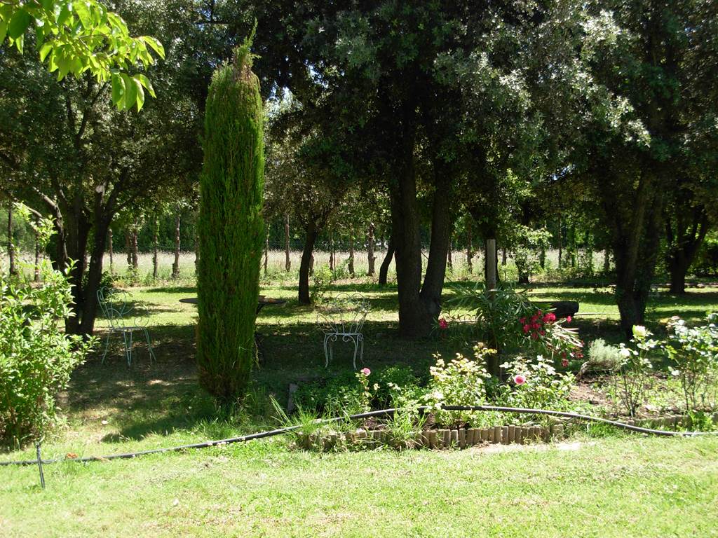 Le parc avec des chênes et des oliviers