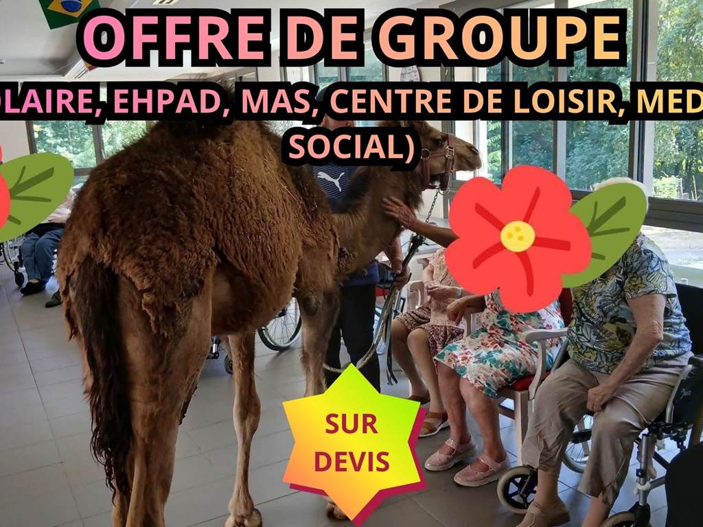 L’écurie du Vermois (31)
