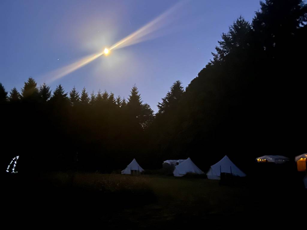 Night sky