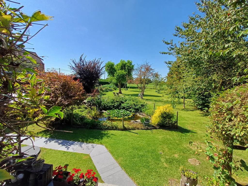 jardin vu du balcon en été