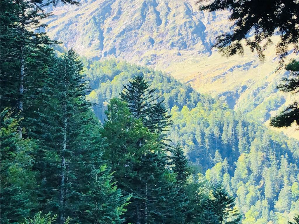 929DFD32-9F60-4CB0-9688-72ADE6786BB2_1_201_a