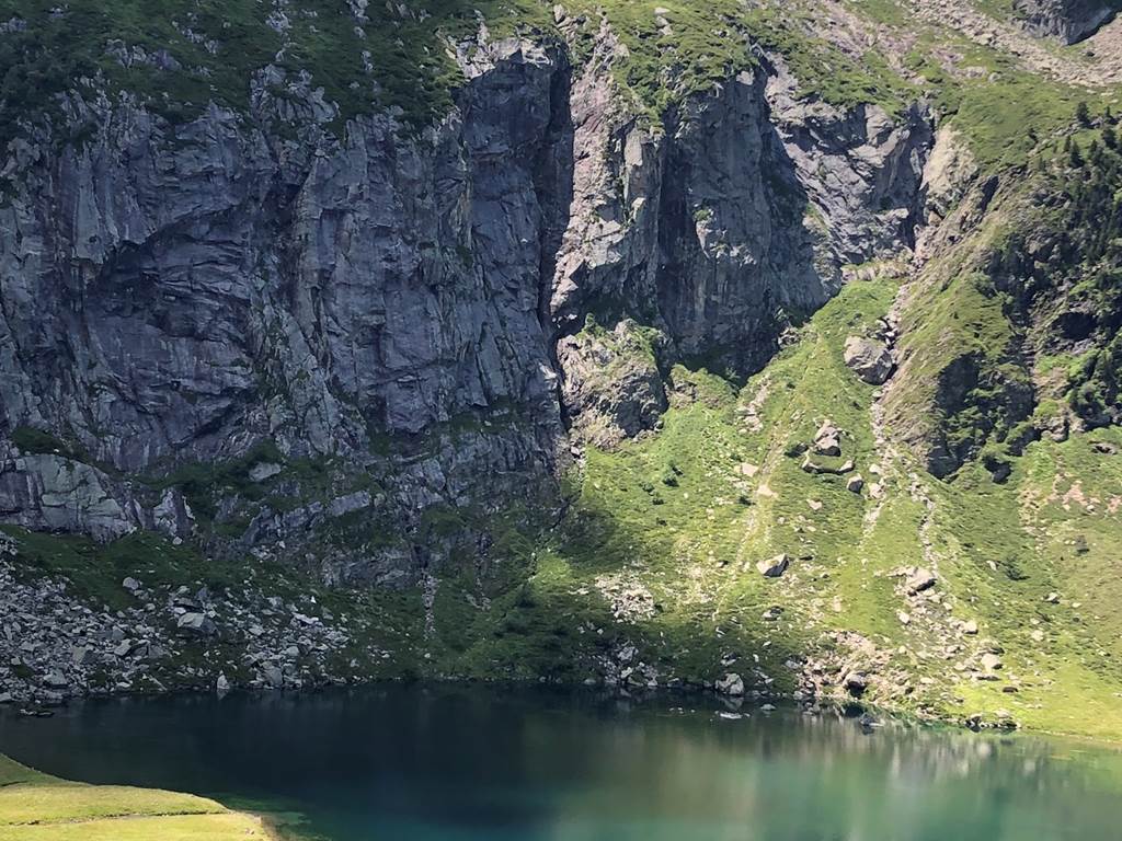 F1CFE6B2-86C9-41CF-85F0-BA1F9D835225