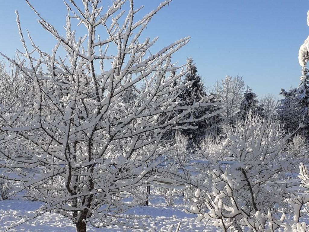 Gîte n°19G3038 "La Treille" – CONCEZE