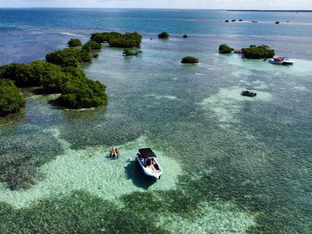 #decouverteiles #sortieenmer #locationbateau #tourismenautique #croisierejournee #bateauprive #activitecouple #voyage #experienceunique #loisirs #tourisme #week-end #plagesparadisiaques #tropical #ilecaraibes #snorkeling #excursionbateauguadeloupe #excursionbateaupascher #excursionbateauavis #excursionbateaureservation #meilleurexcursionbateauguadeloupe #excursionbateau2025 #guadeloupe #repas #aperitif #plongee #plage #masque #tuba