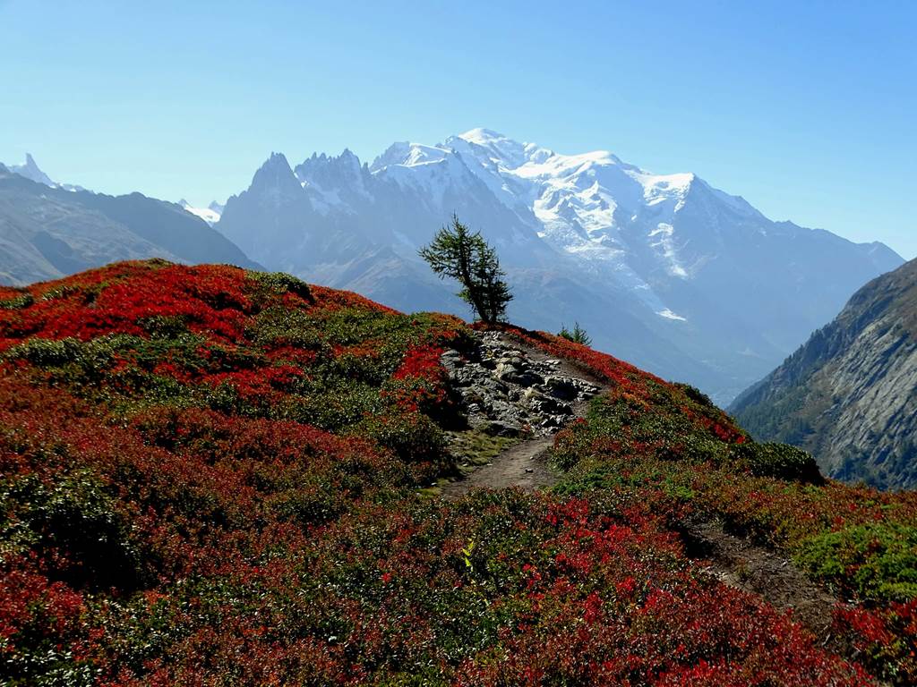 Aiguillette des Posettes - Vallorcine