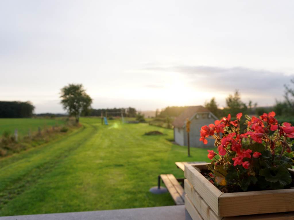 Jardin