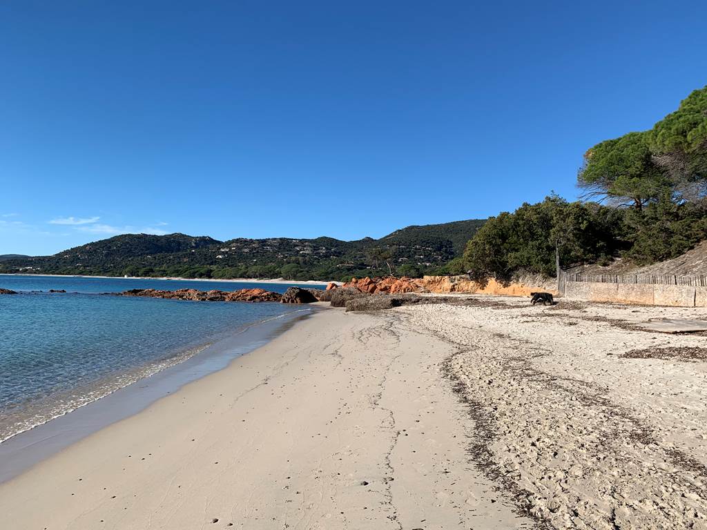 Palombaggia "mytique"