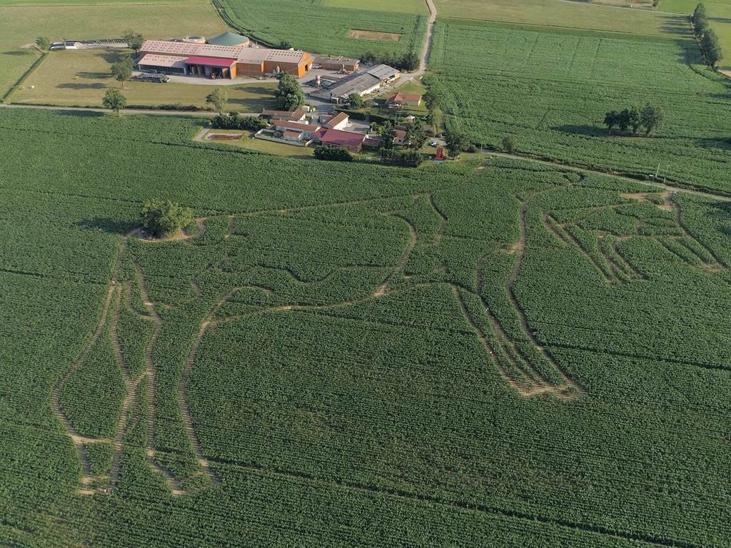 labyrinthe de maïs de 2019 mais attention chaque année il change de forme...