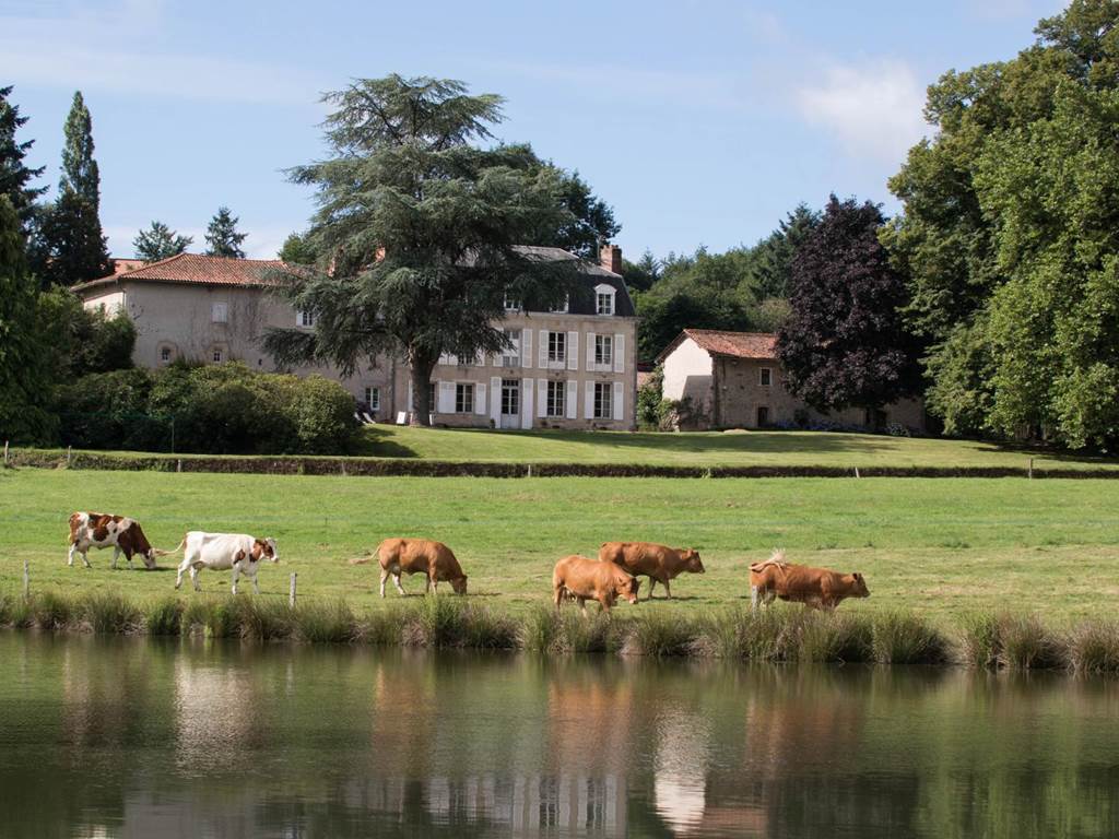 Chambre d'hôtes n°87G5714 "Le Masbareau" – ROYERES