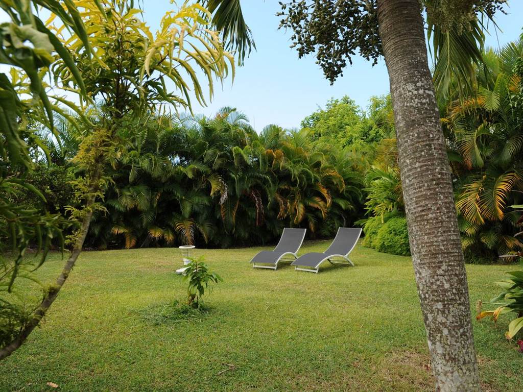 Les jardins des Balisiers jardin tropicales