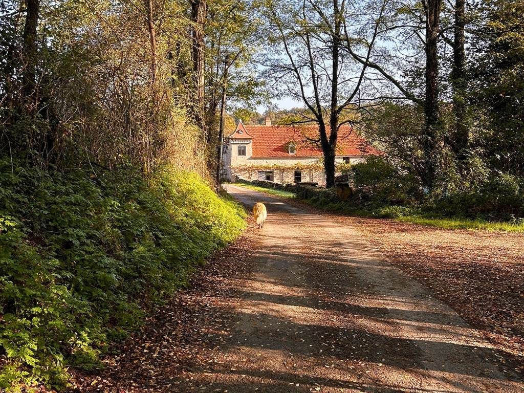 Arrive´e au Domaine