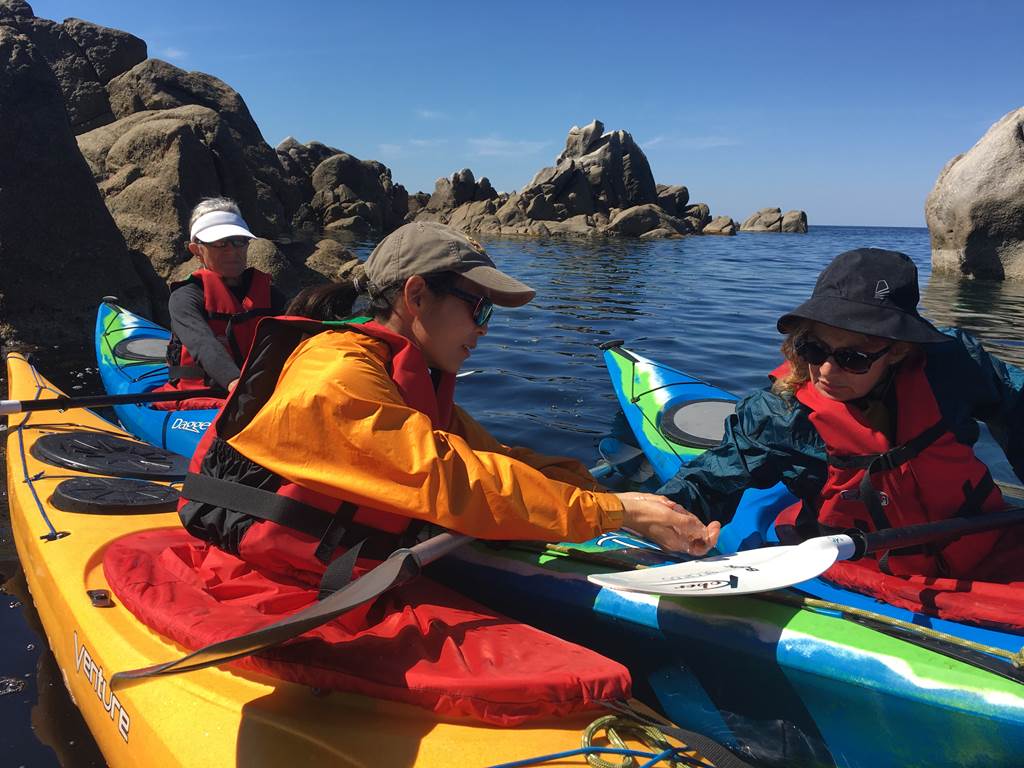 Abbartello kayak Corse paddle découverte de l environnement corse