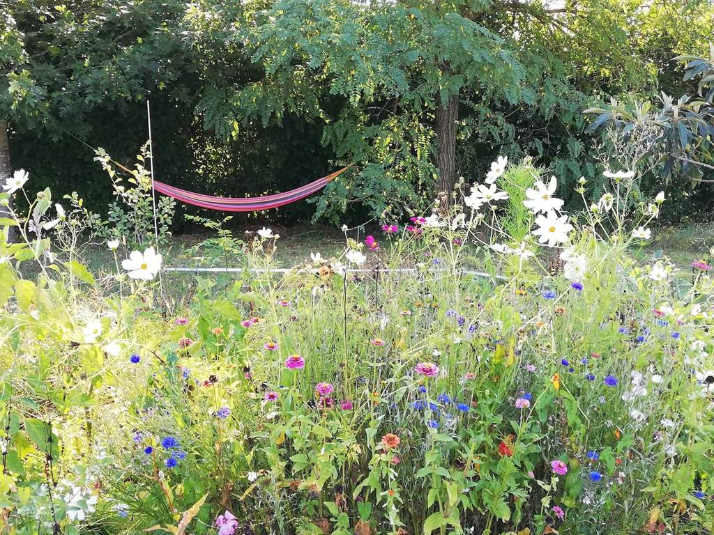 jardin hamac
