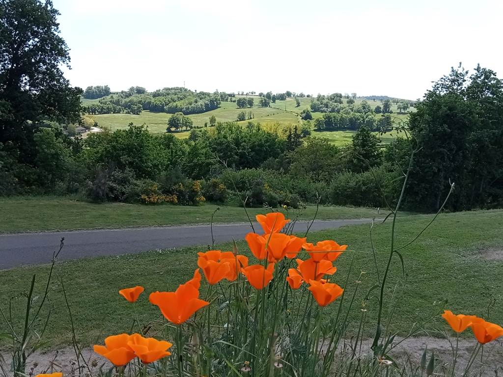 camping-la-perle-creuse-vue vallée de la creuse