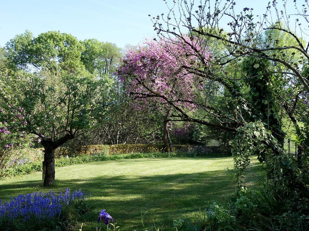 Jardin d'agrément de la maison d'hôte