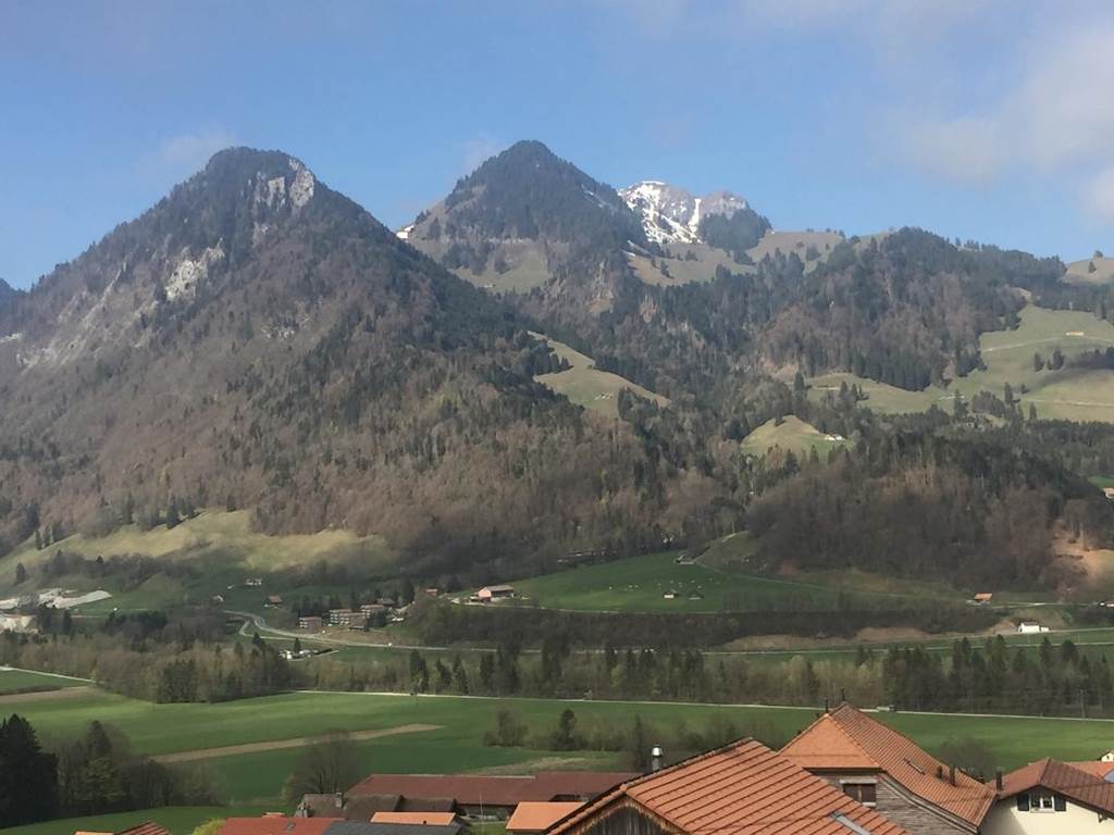 Vue sur le Moleson