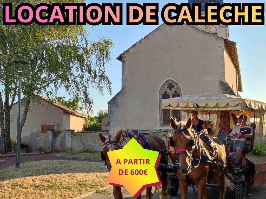 L’écurie du Vermois (51)