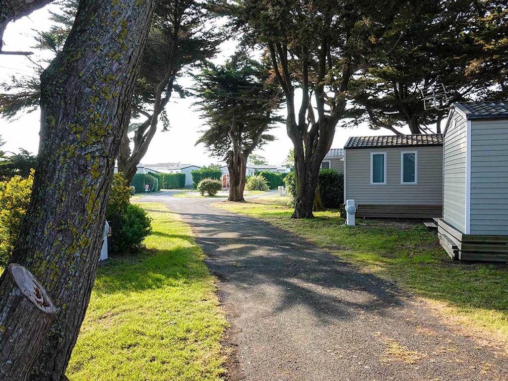 Allées du Camping les Pérouses du Phare