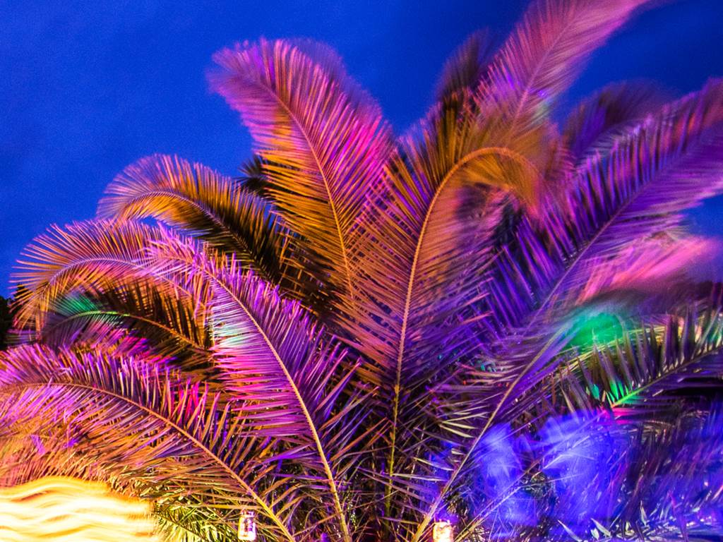 Ambiance de soirée