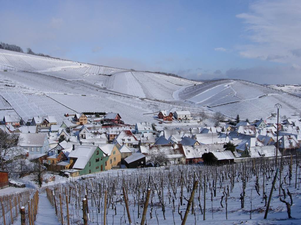 VIGNOBLE KLUR - Village