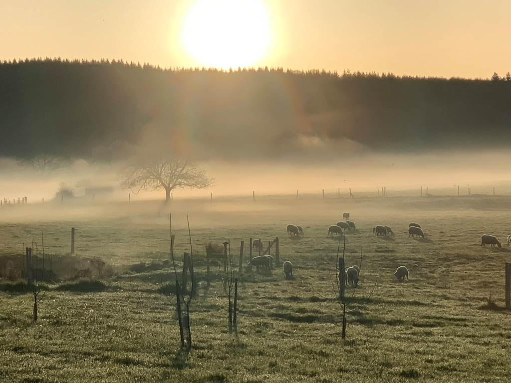 Les terres de la chouette, lever de soleil sur le domaine