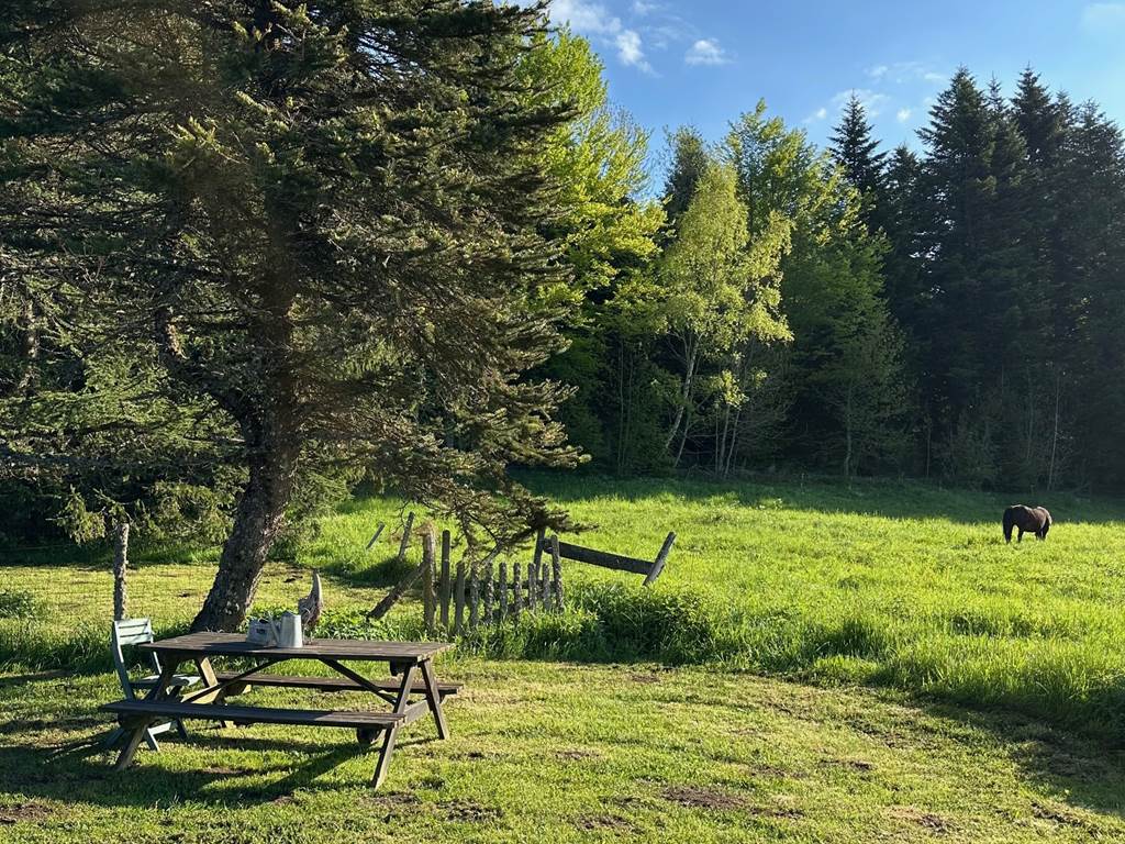Gîtes Moréno Puy-de-Dôme Proche Vulcania Auvergne Sancy Tourisme Location de vacances Ski Montagne Lacs Volcans VTT randonnées