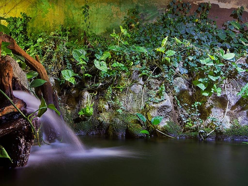 AQUARIUM DU LIMOUSIN A LIMOGES