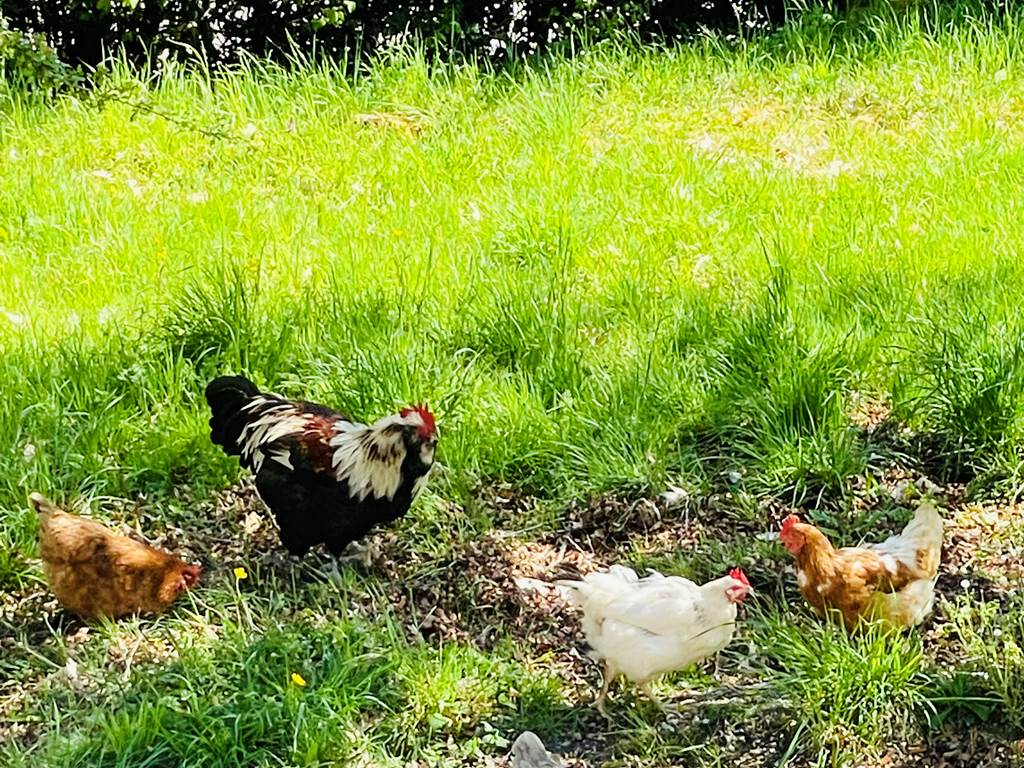 gite_correze_pierres_confort-nature