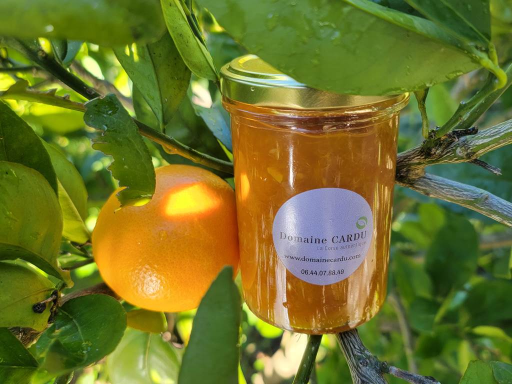 Confiture artisanale maison servie au petit-déjeuner du Domaine Cardu, élaborée avec des fruits du verger.