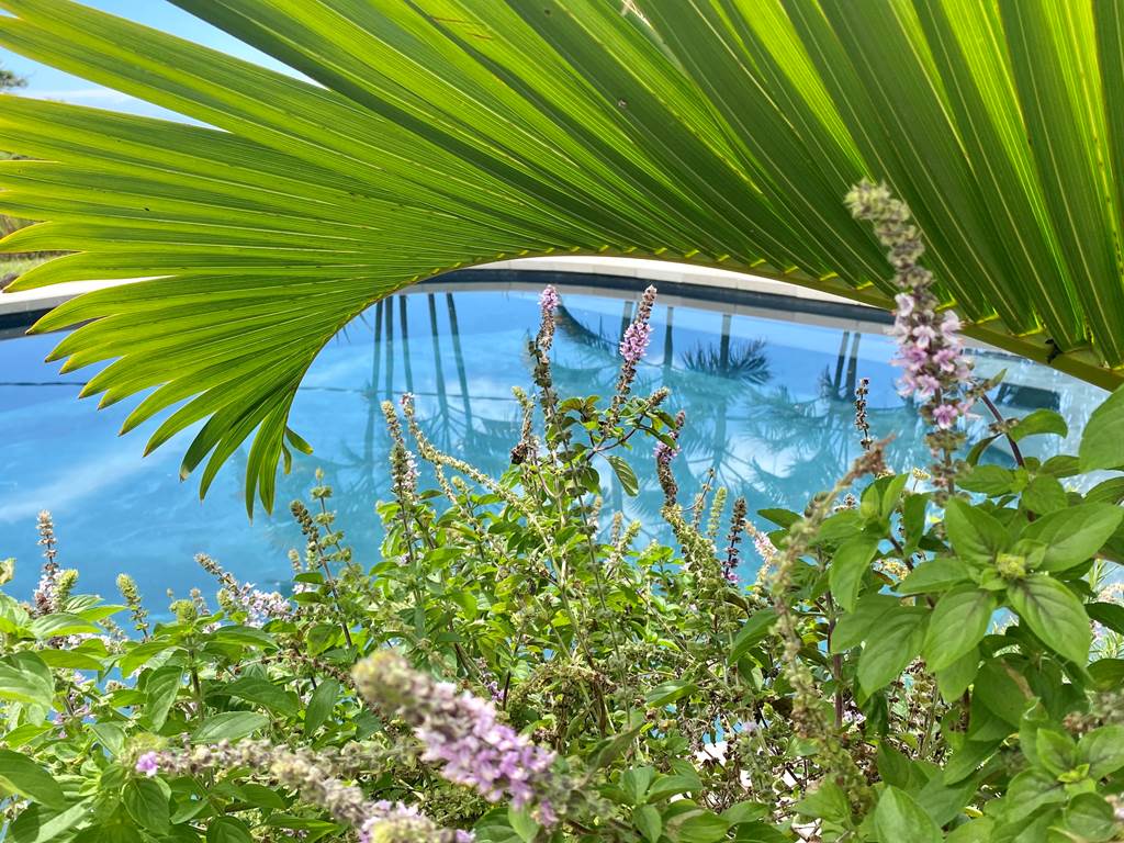 La Piscine