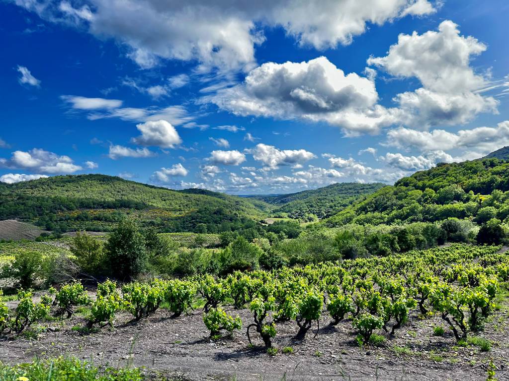 Gites Corbieres20