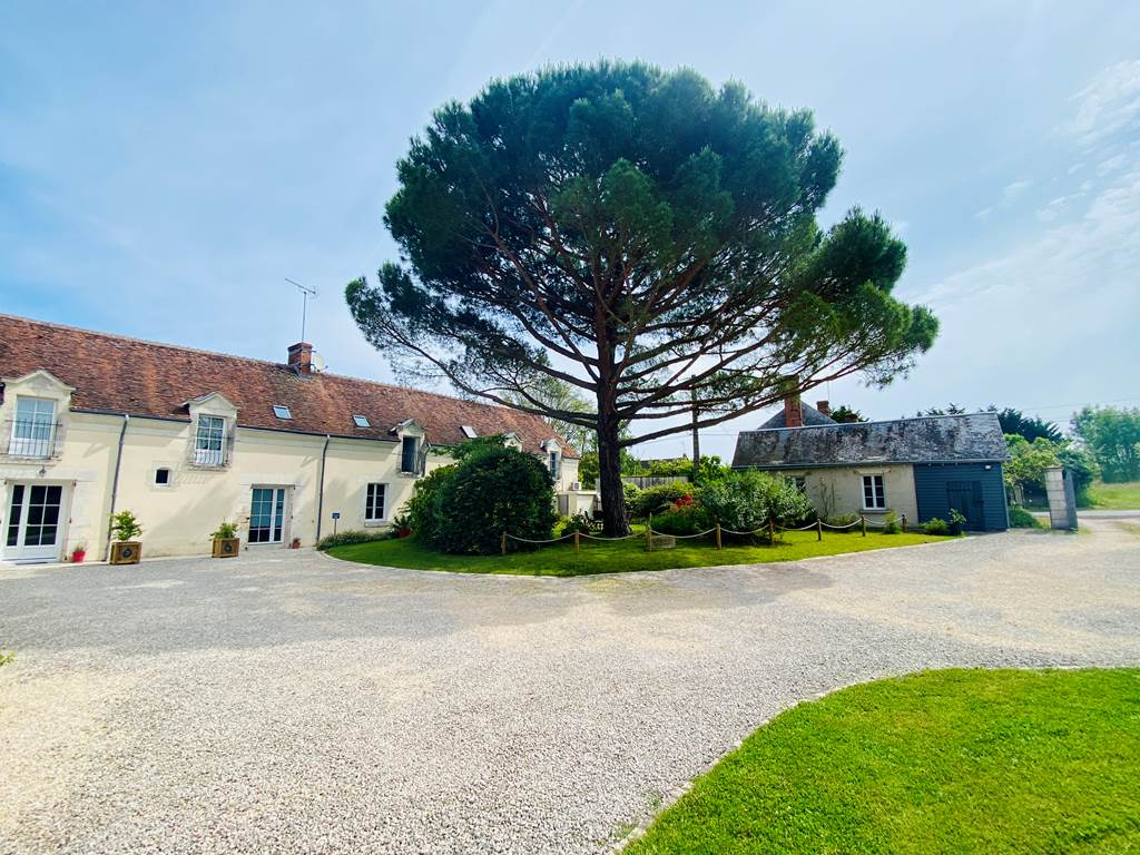 Courtyard and driveway