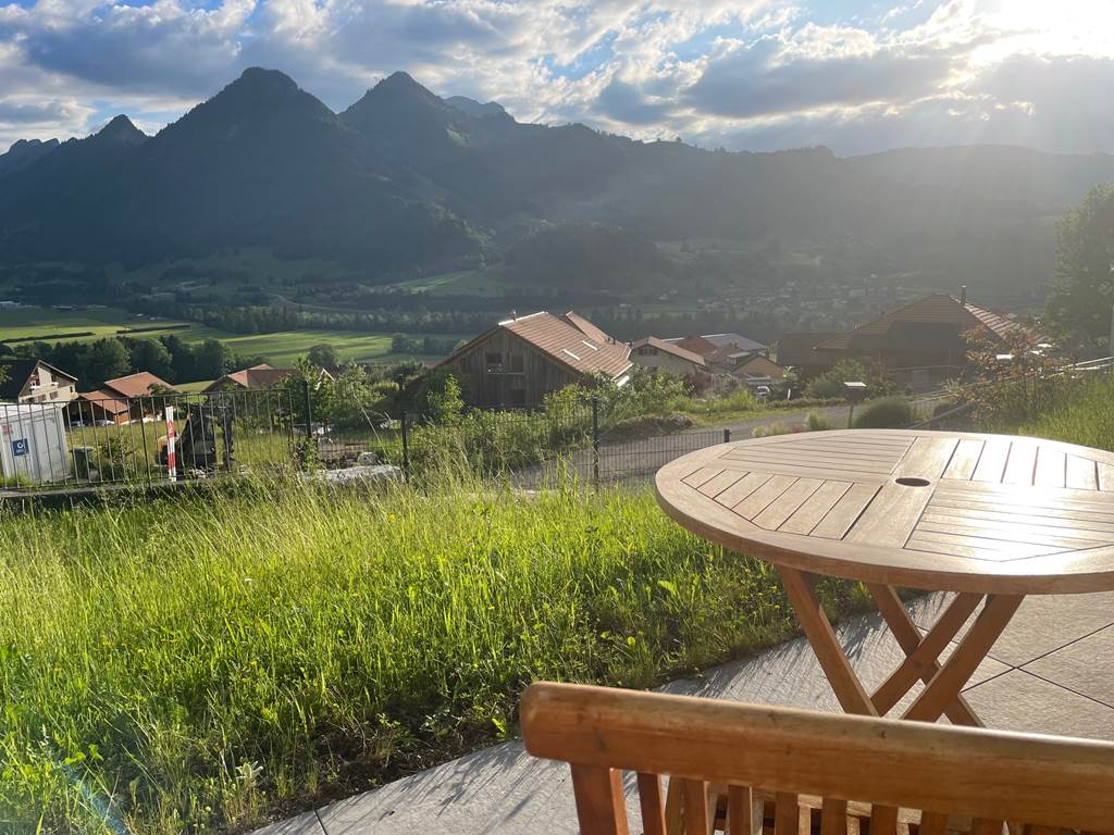 Terrasse ensoleillée vue sur le Moléson
