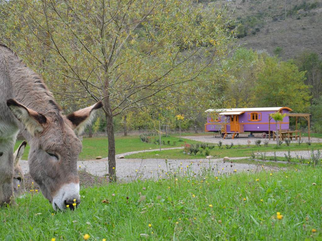 Week end ou séjour en hébergement insolite Ardèche